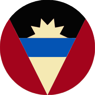 Flag Representative Icon