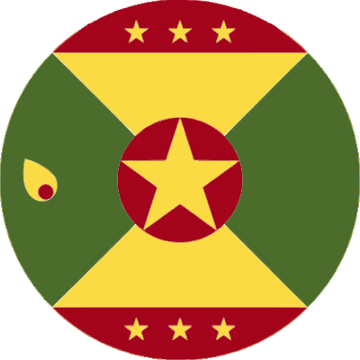 Flag Representative Icon