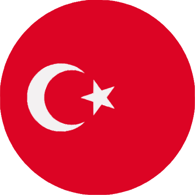 Flag Representative Icon