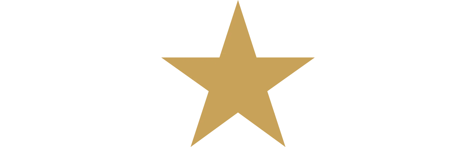 one star icon