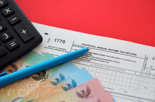 Individual income tax declaration